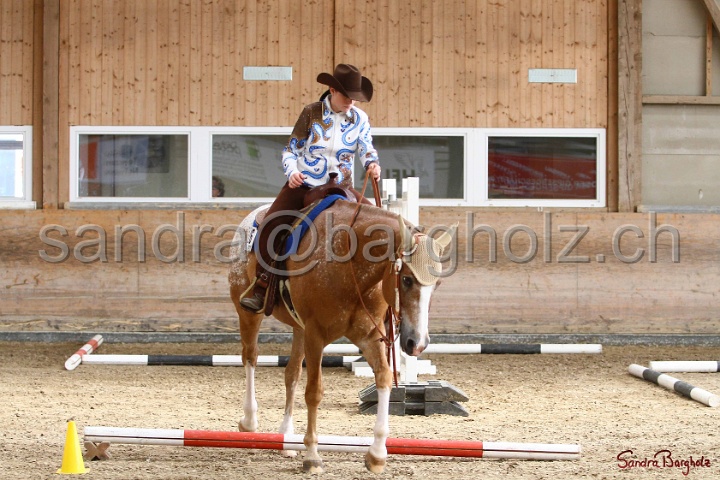 26-ApHC GT_213.jpg